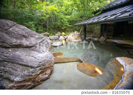 日本療愈溫泉 日本療愈溫泉 81635070