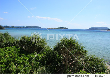 離島夏日風光 沖繩海 81636732