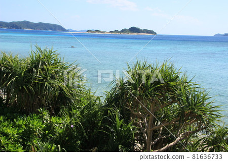 離島夏日風光 沖繩海 81636733
