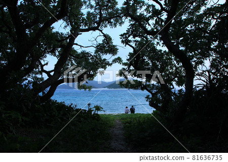 Evening view of a remote island: Okinawa's ocean 81636735
