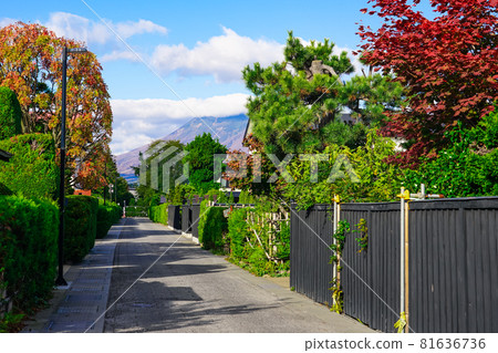 A neat and tidy former samurai residence district: Nakamachi Traditional Buildings Preservation District (Hirosaki City, Aomori Prefecture) A neat and tidy former samurai residence district: Nakamachi Traditional Buildings Preservation District (Hirosaki City, Aomori Prefecture) 81636736