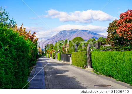 中町傳統建築群保存地區，有秩序的舊武士住宅區（青森縣弘前市） 81636740