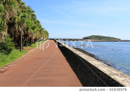 Aoshima Island and Promenade in Miyazaki City 81636976