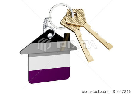 Home keychain with asexual flag. 3D rendering 81637246