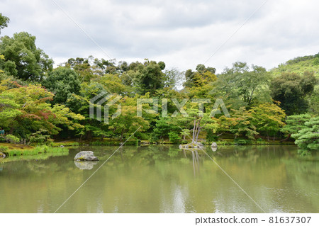 Kinkakuji Temple (Kinkakuji Temple) Pond / Kyoto City, Kyoto Prefecture Kinkakuji Temple (Kinkakuji Temple) Pond / Kyoto City, Kyoto Prefecture 81637307
