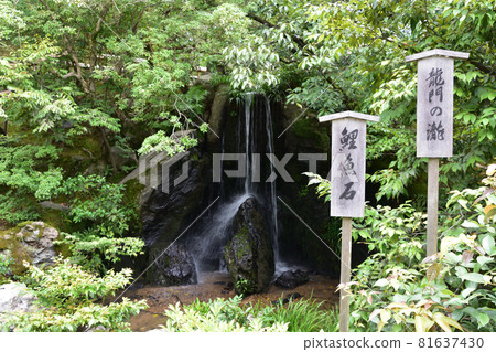 Kinkakuji Temple (Kinkakuji Temple) Ryumon no Taki / Kyoto City, Kyoto Prefecture 81637430