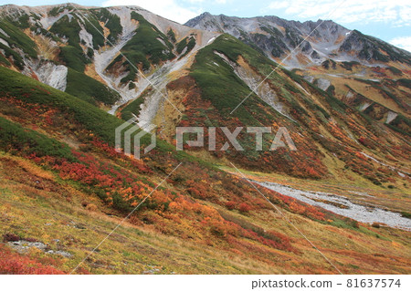 風景/登山/從室堂平看到的紅葉立山 81637574