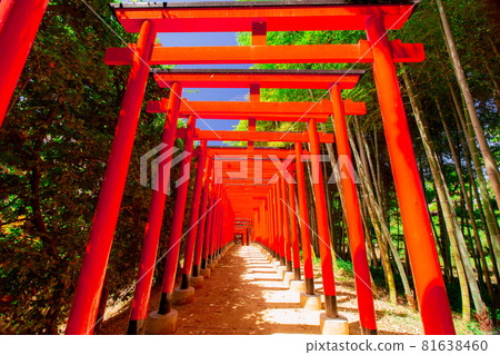 大名花園 中津萬松園 大名花園 中津萬松園 81638460