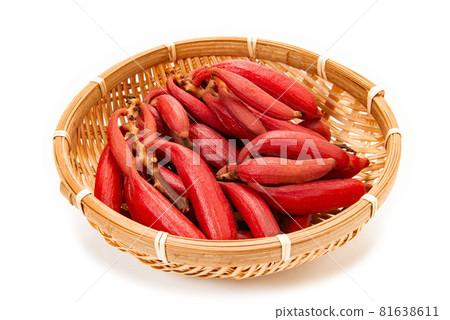 血紅肉果蘭 血紅肉果蘭 81638611