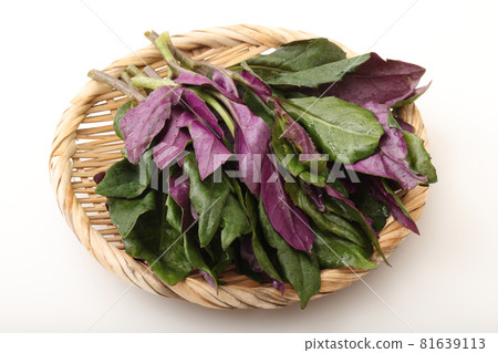 Handammer Handammer 81639113