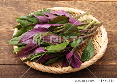 Handammer Handammer 81639118