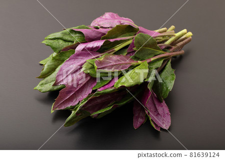 Handammer Handammer 81639124