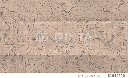 Topographic line map. Topographic line map. 81639530