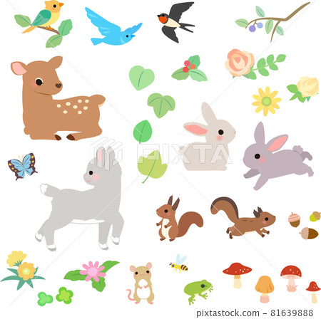 Small animal and flower decoration illustration set 81639888