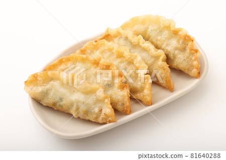 fried gyoza fried gyoza 81640288
