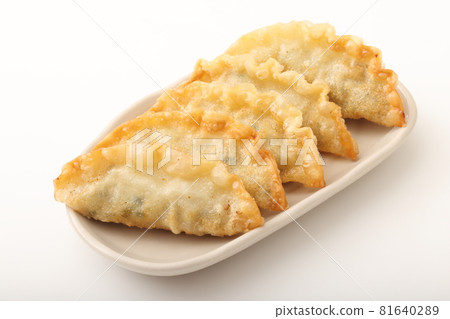 fried gyoza fried gyoza 81640289
