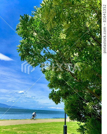 Shiga Prefecture, Otsu Lakeside, Nagisa Park, landscape with a cyclist on the grass through the trees with blue sky and Lake Biwa in the background 81641352