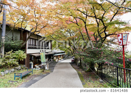 Autumn leaves of Yorokoen Park 81641486