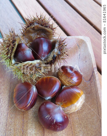 A bountiful autumn harvest: chestnuts and chestnut burrs 81641965
