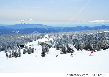 Yokoteyama-Shibutoge Ski Resort / Shibutoge Ski Resort (Yamanouchi Town, Nagano Prefecture) [2018.3] 81642495