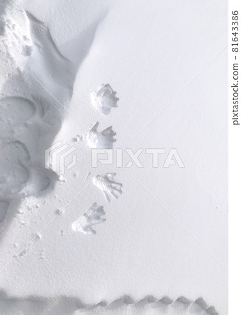 雪地裡的手印 雪地裡的手印 81643386
