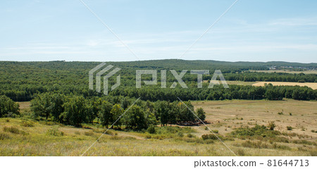 View of the field and forest 81644713