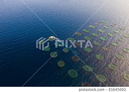 Aerial view of fishing farm at sea Aerial view of fishing farm at sea 81645002