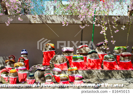 Kyoto Shiunzan Chohoji Temple Rokkakudo Jizo statue wearing a mask, cherry blossoms and pigeon fortune telling 81645015