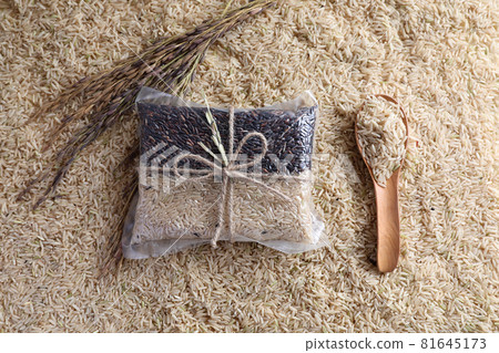 Organic raw brown rice and riceberry rice in close up 81645173