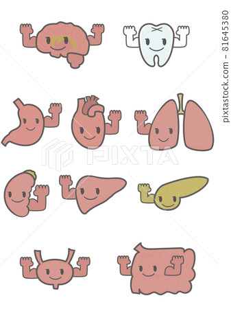插圖素材：一組插圖，用微笑的表情和拳頭以健康的方式表現人體的內臟和牙齒。 81645380