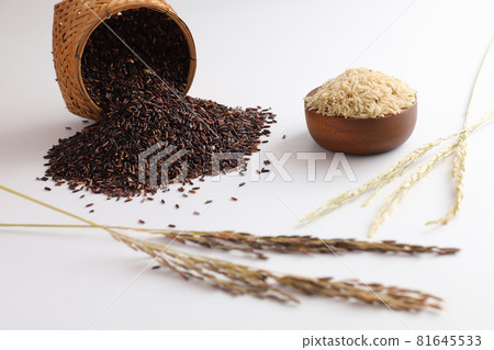 Organic raw brown rice and riceberry rice in close up Organic raw brown rice and riceberry rice in close up 81645533