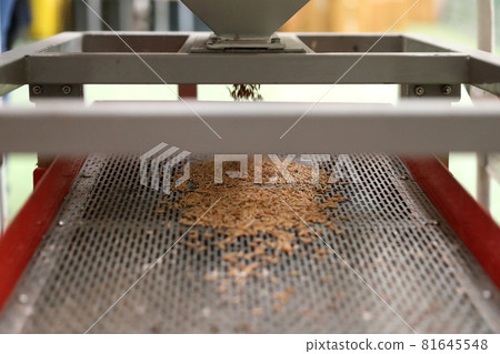 Factory machine Milling rice in close up Factory machine Milling rice in close up 81645548