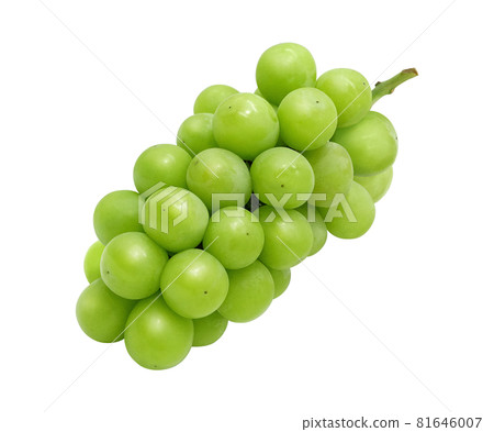 Shine Muscat Muscat Grape Illustration Realistic 81646007