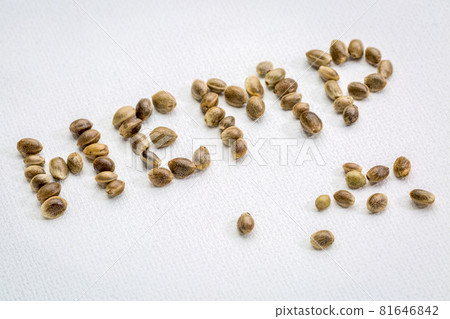 hemp seeds word on canvas hemp seeds word on canvas 81646842