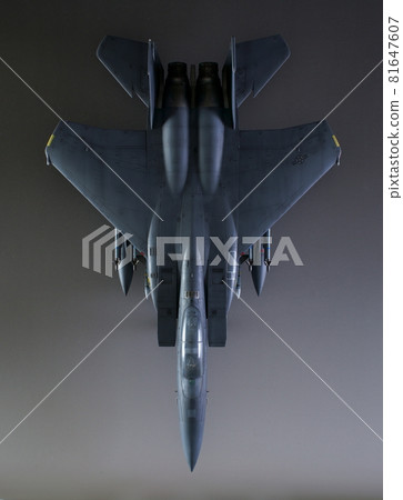 Fighter aircraft: F-15E Strike Eagle 81647607