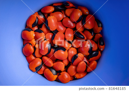 Some red seeds Some red seeds 81648185