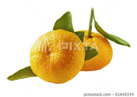 Tangerines with green leaves isolated 81648334