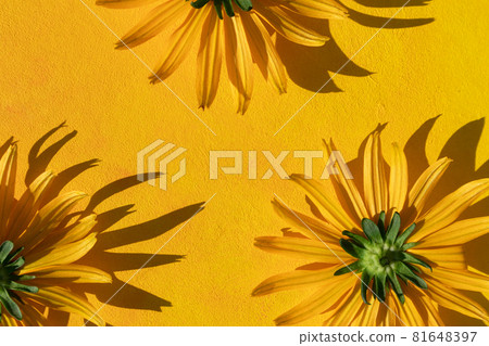 Flower arrangement on a yellow background with space for text. Top view, flat layout. Postcard. 81648397
