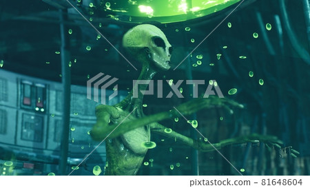 An alien float in a green gurgling liquid in a special glass aquarium in a futuristic laboratory. The image is ideal for sci-fi or space travel. The concept of an alien and laboratory. 3D rendering An alien float in a green gurgling liquid in a special glass aquarium in a futuristic laboratory. The image is ideal for sci-fi or space travel. The concept of an alien and laboratory. 3D rendering 81648604