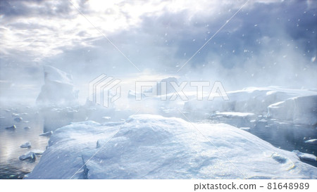 Huge high glaciers in winter natural conditions, the sea in ice, snow and blizzards. Arctic winter snowy landscape. 3D Rendering 81648989