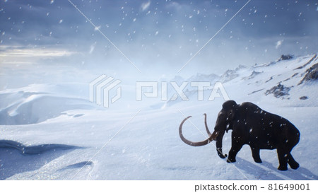 A huge mammoth is walking along a snow-covered glacier. Huge high glaciers in winter natural conditions. Arctic winter landscape. 3D Rendering. A huge mammoth is walking along a snow-covered glacier. Huge high glaciers in winter natural conditions. Arctic winter landscape. 3D Rendering. 81649001