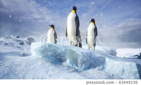 An emperor penguin stands in the middle of a snowstorm on a glacier and admires the sea. Huge high glaciers in winter natural conditions. 3D Rendering. 81649136