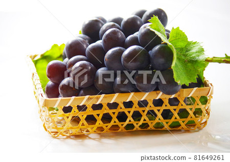 長野紫 長野紫 81649261