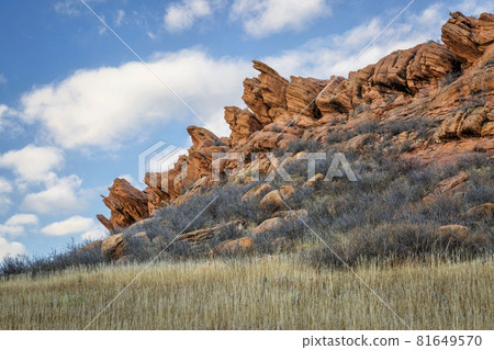 sandstone cliff at Colorado foothills 81649570