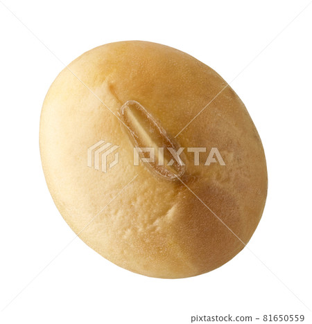 soy bean macro 81650559