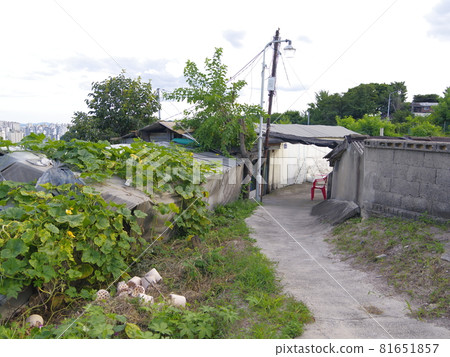 Jeongneunggol. Redevelopment. Alley. Fall 81651857