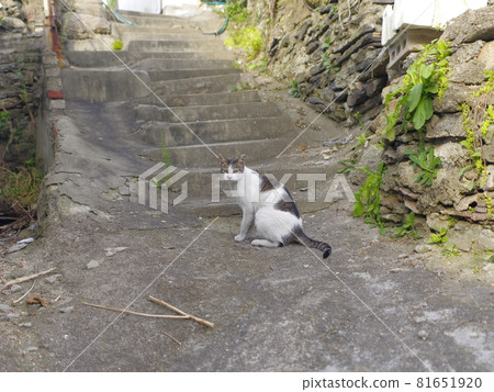 Jeongneunggol. Redevelopment. Alley. Fall Jeongneunggol. Redevelopment. Alley. Fall 81651920