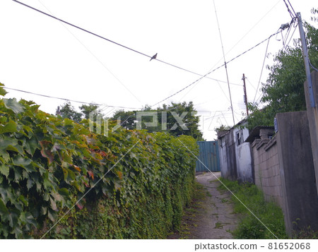 Jeongneunggol. Autumn. Alley. Sky. Residential area Jeongneunggol. Autumn. Alley. Sky. Residential area 81652068