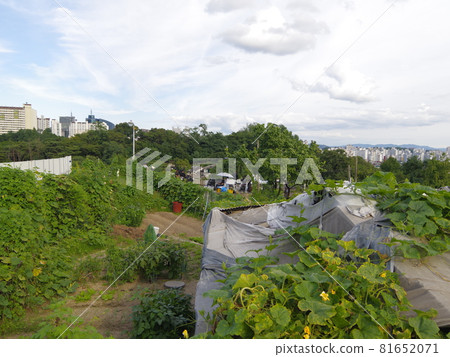 Jeongneunggol. Autumn. Alley. Sky. Residential area Jeongneunggol. Autumn. Alley. Sky. Residential area 81652071