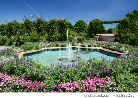 Hill park with a view of the harbor 81652253